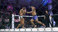 MMA