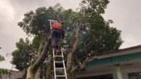 Lima Bencana Alam Terjadi di Kota Tasikmalaya