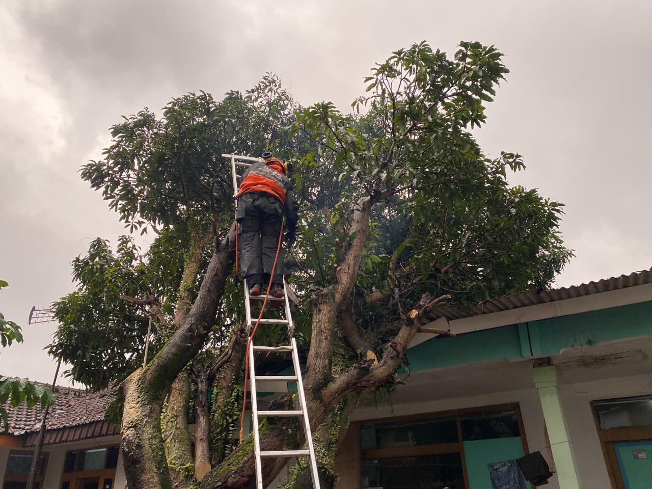 Lima Bencana Alam Terjadi di Kota Tasikmalaya