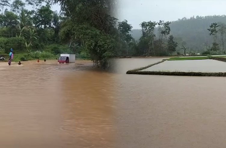 Enam Hektar Lahan Pertanian Rusak Terendam Banjir di Purabaya Sukabumi