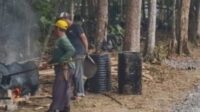 disperkim buni wangi