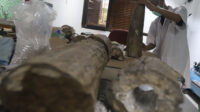 PREPARASI FOSIL GAJAH PURBA 9