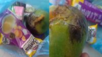 Mangga Busuk Masuk Paket MBG di Sukabumi, Pemilik Dapur di Cikidang Minta Maaf