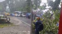 Pohon Tumbang di Jalan Nasional Palabuhanratu Sukabumi, Arus Lalin Macet