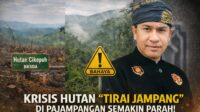Ketum JTM Soroti Rusaknya Tiga Hutan Penyangga Pajampangan