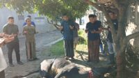 BRAZA Gelar Ibadah Qurban Di Cibungbulang, Berbagi Kebahagiaan Dengan Warga dan Guru Yayasan BRAZA Gelar Ibadah Qurban Di Cibungbulang