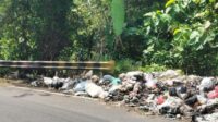 Bau Menyengat hingga Ada Biawak, Tumpukan Sampah di Jalur Bagbagan–Kiaradua Dikeluhkan Pengendara