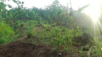 Warga Terdampak Bencana di Simpenan Sukabumi Desak Pengiriman Alat Berat untuk Percepat Relokasi