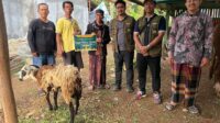 Dari Energi Panas Bumi hingga Kurban Idul Adha, PT DMCG Perkuat Kepedulian Sosial