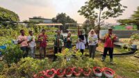 Pertamina Patra Niaga RJBB Kembangkan Urban Farming