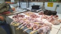 Harga Ayam Potong Di Kota Sukabumi Merangkak Naik, Gegara MBG?