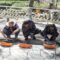 Jembatan Leuwidinding Dibangun Kembali, Akses Warga Jampangtengah–Gunungguruh Segera Terhubung