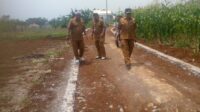 Bangkeu Cair, Pemdes Neglasari Banggun Jalan Usaha Tani, Kantor Desa Dua Lantai, Hingga Dayeuh Bernuansa Tempo Dulu