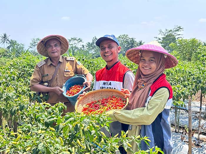 Pertamina